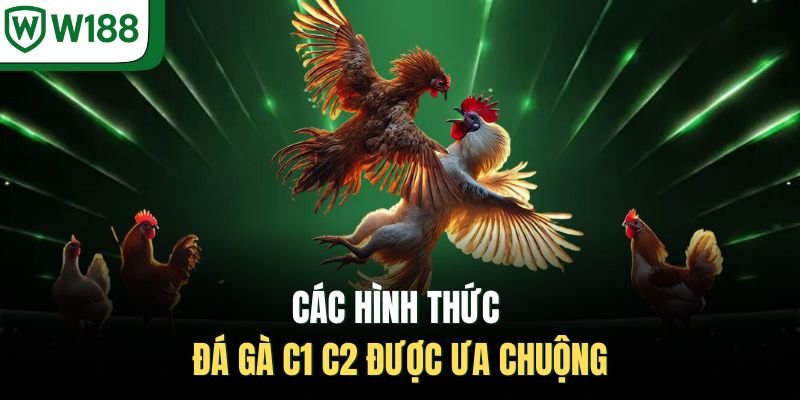 Các hình thức đá gà C1 C2 được ưa chuộng