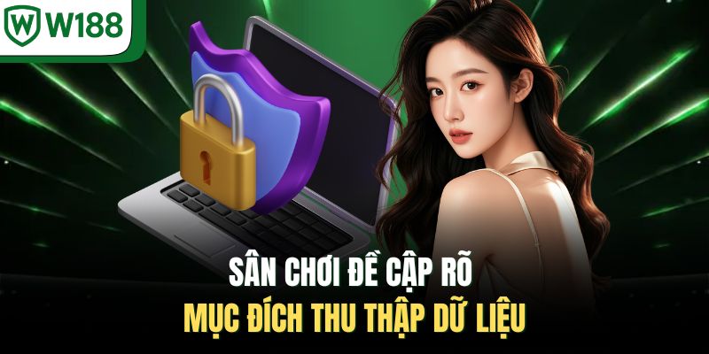 Sân chơi đề cập rõ mục đích thu thập dữ liệu 
